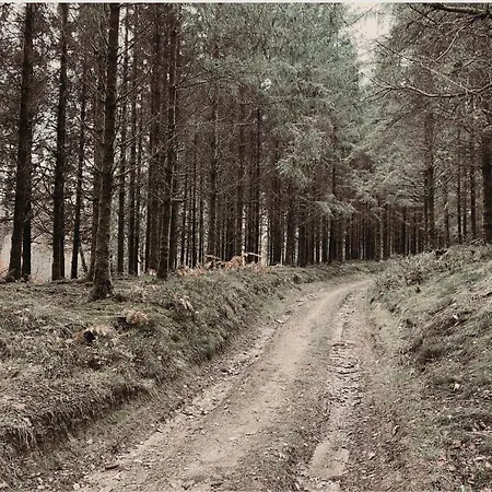 别墅 Maison Louette - Nieuwe Luxe Met Sauna & Hottub *